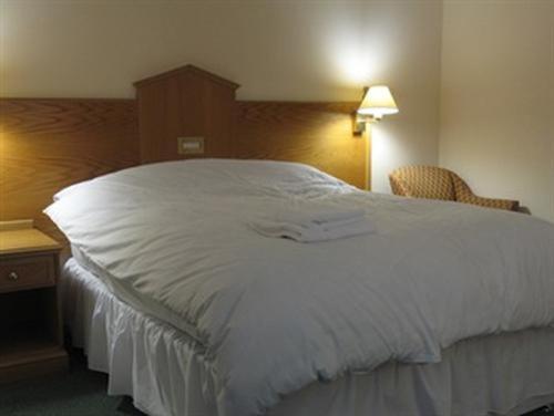 Hazelwood House Bed and Breakfast Bridgend  Eksteriør billede