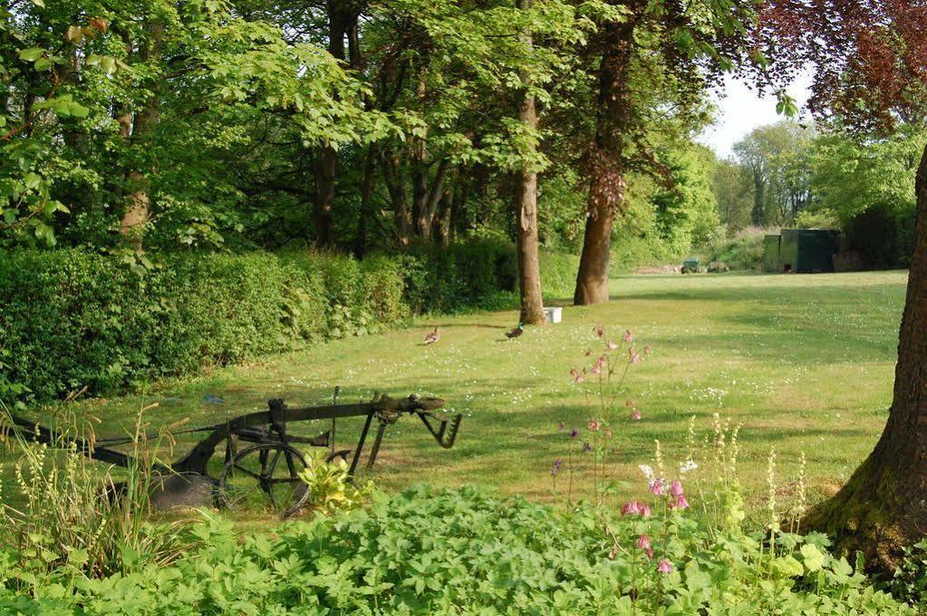 Hazelwood House Bed and Breakfast Bridgend  Eksteriør billede